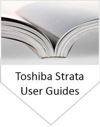 Toshiba User Guides